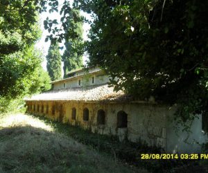 1.Para