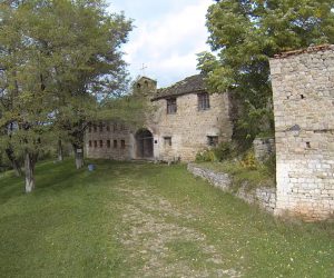 3.Para
